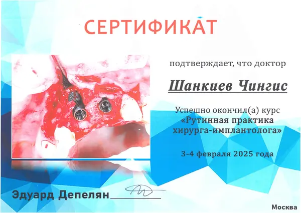 Сертификат — Шанкиев Чингис Альбертович