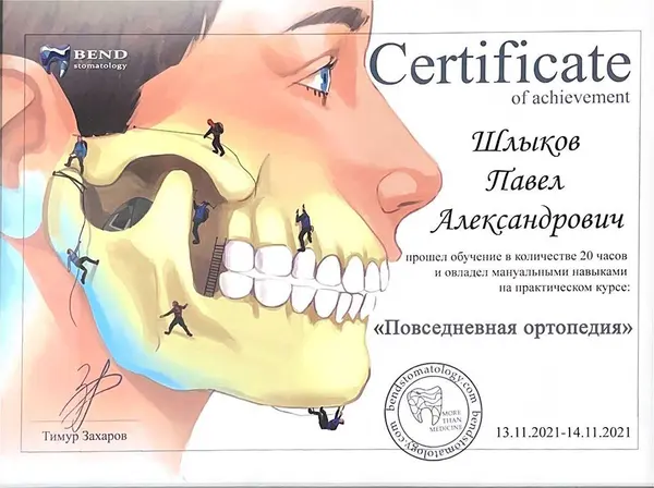 Сертификат — Шлыков Павел Александрович